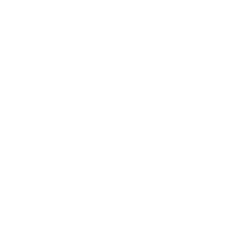2-net-logo