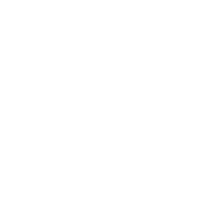 4-forcepoint