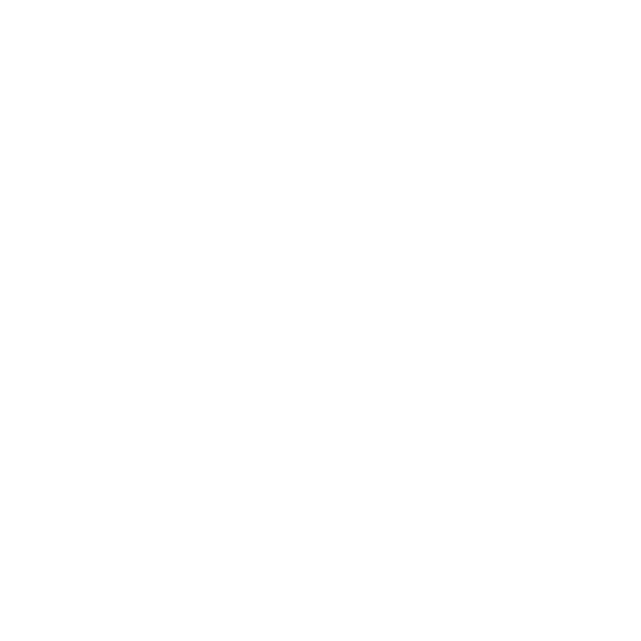 rs-mission-secure
